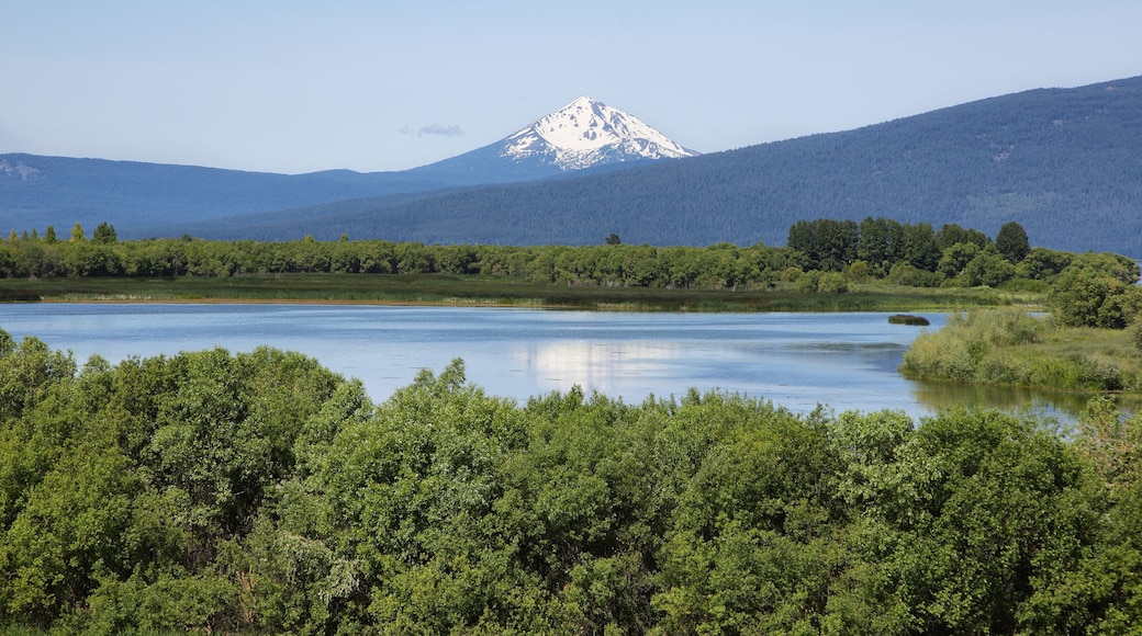 Upper Klamath National Wildlife Refuge