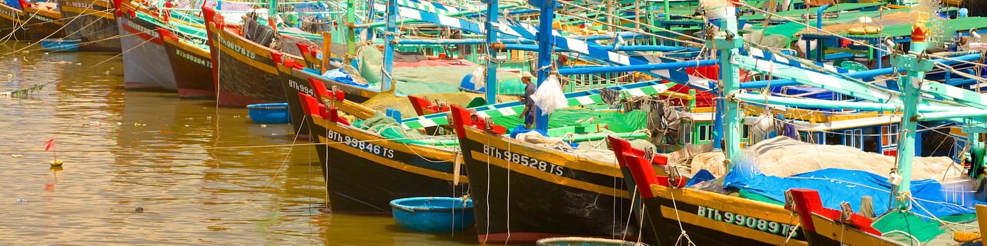 A bustling harbor filled with colorful fishing boats docked in rows.