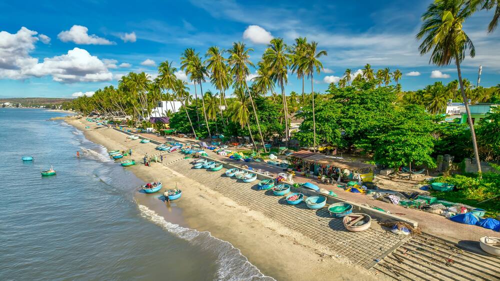 A beach with boats, palm trees, and a clear sky.