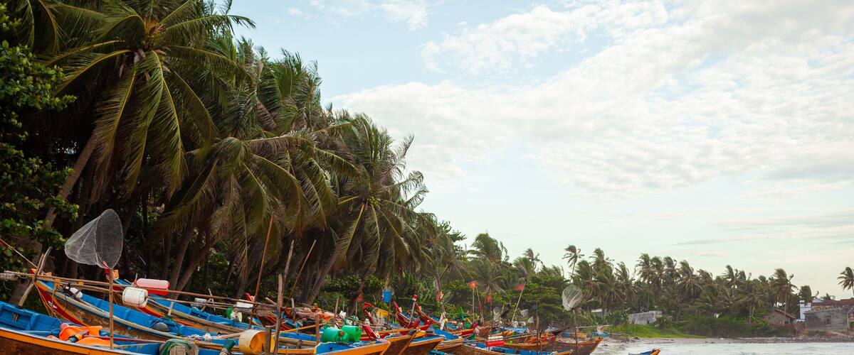Mui Ne Beach showing general coastal views, a sandy beach and tropical scenes