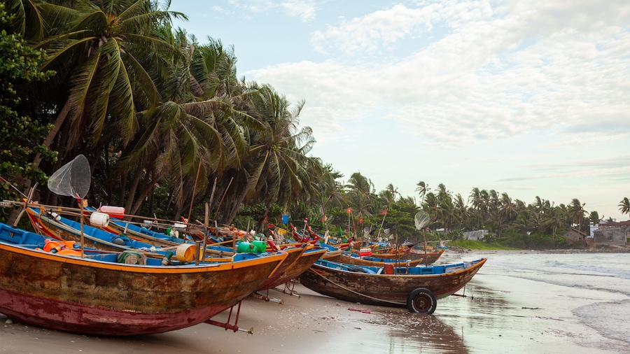 Mui Ne Beach showing general coastal views, a sandy beach and tropical scenes