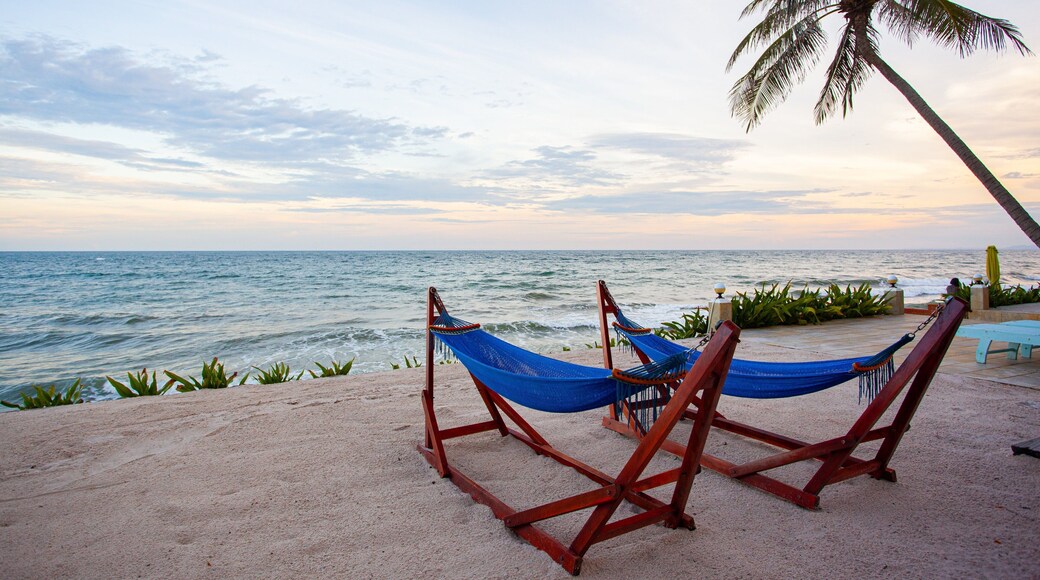 Mui Ne Beach which includes general coastal views, a beach and tropical scenes