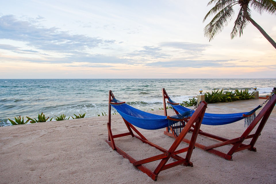 A beach with two hammocks and a palm tree.