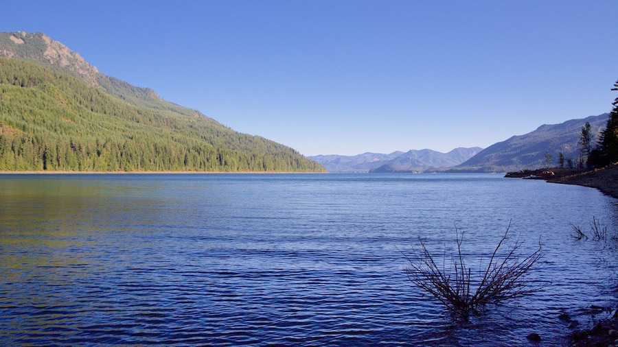 Washington mostrando un río o arroyo