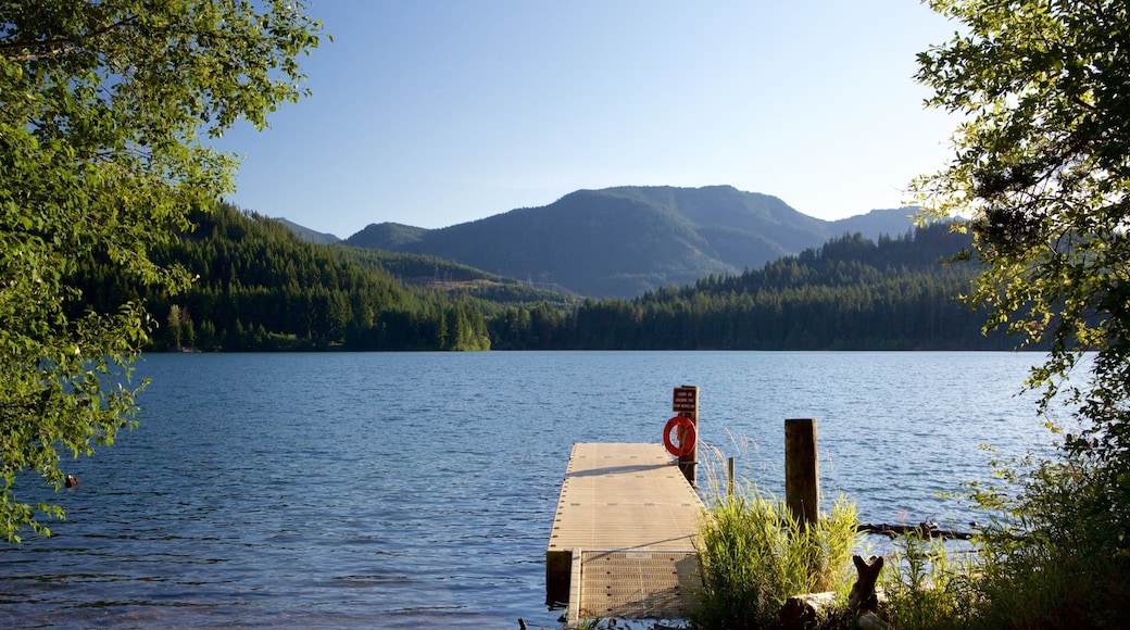 Sentrale Washington fasiliteter samt elv eller bekk og fjell