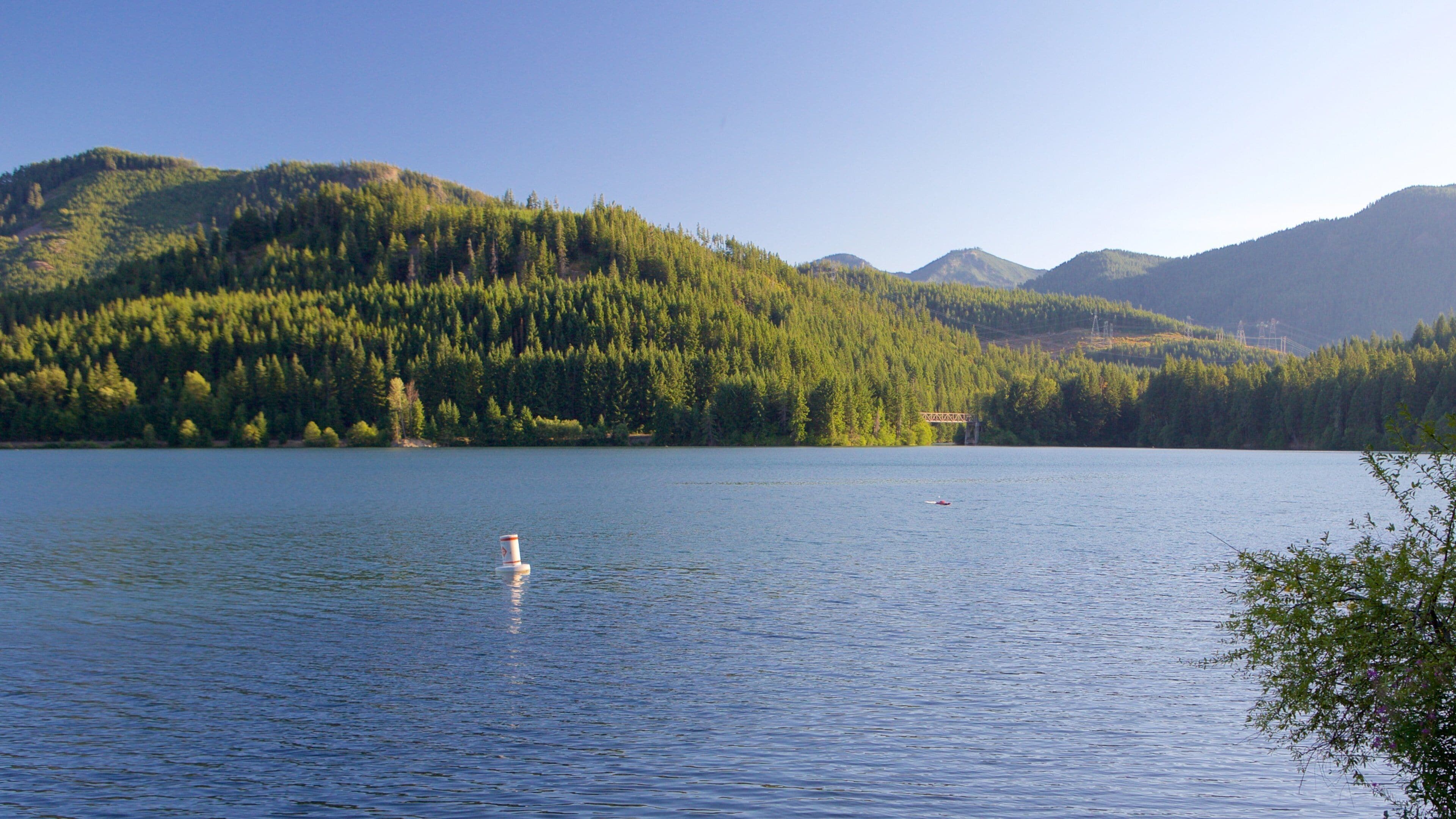 Central Washington showing a river or creek and forests