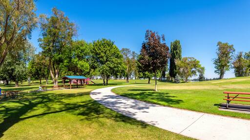 A summer day at the 24 acre lakeside Blue Heron Park in the city of Moses Lake, Washington, in Central Washington, USA.