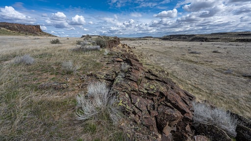 Columbia National Wildlife Refuge, WA