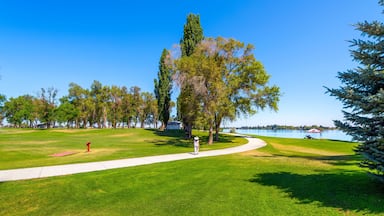 A summer day at the 24 acre lakeside Blue Heron Park in the city of Moses Lake, Washington, in Central Washington, USA.