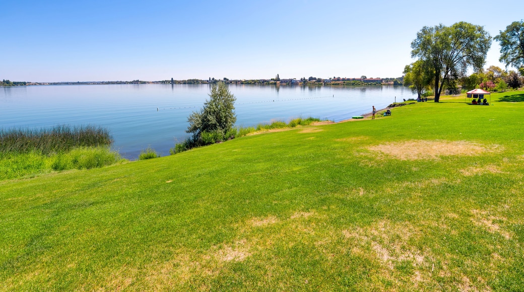 A summer day at the 24 acre lakeside Blue Heron Park in the city of Moses Lake, Washington, in Central Washington, USA.