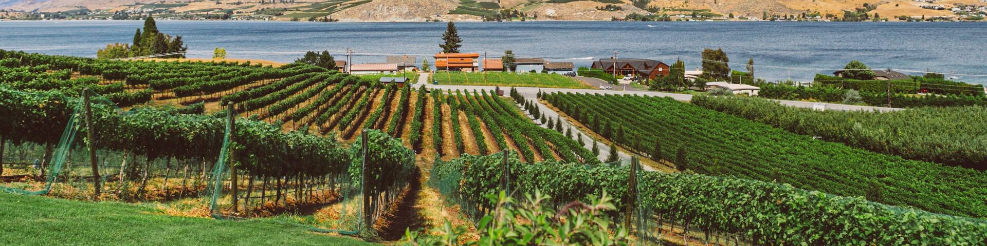 Beautiful view of the winery near the lake Chelan in Washington