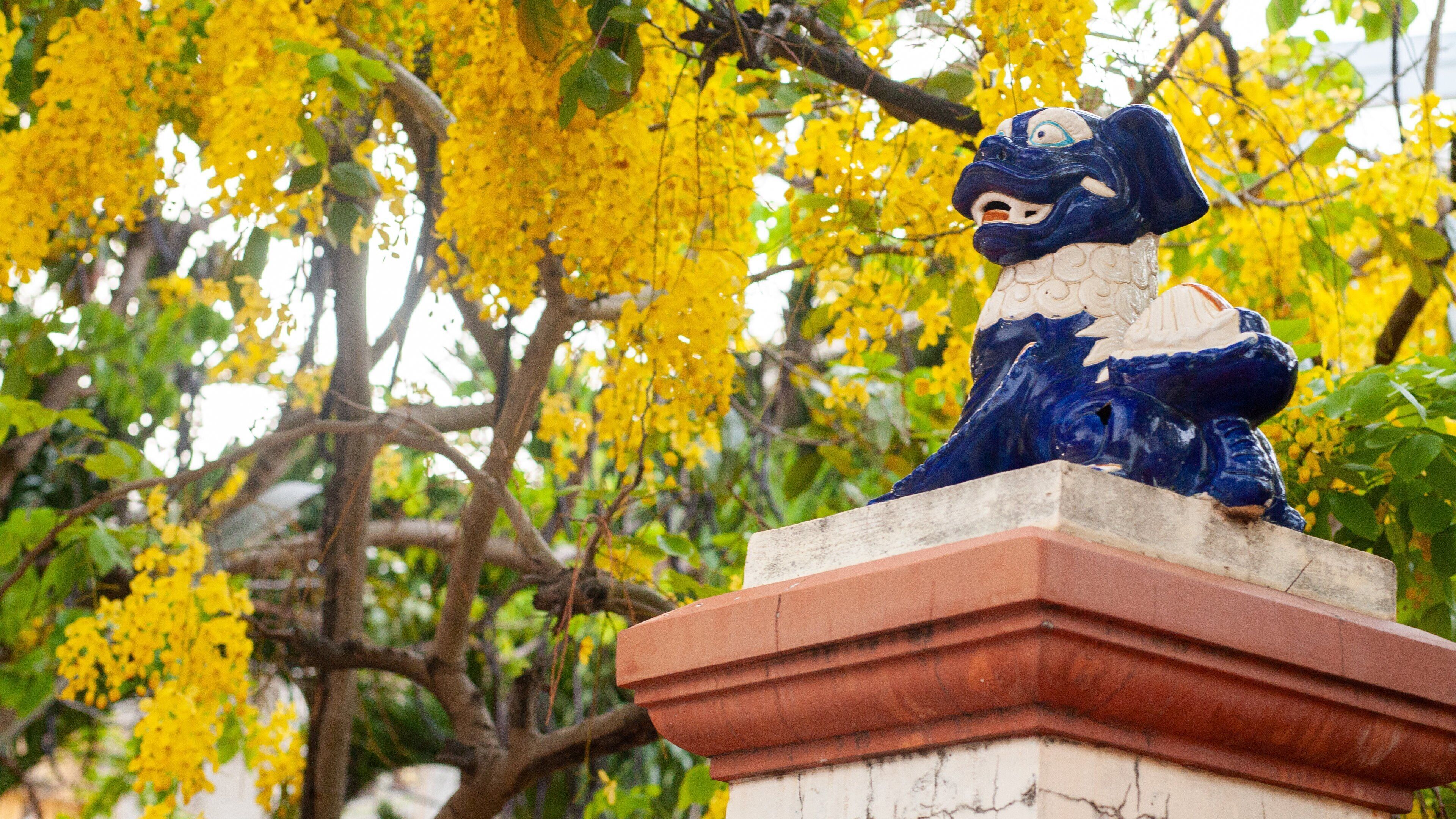 Vung Tau featuring heritage elements, wildflowers and a statue or sculpture