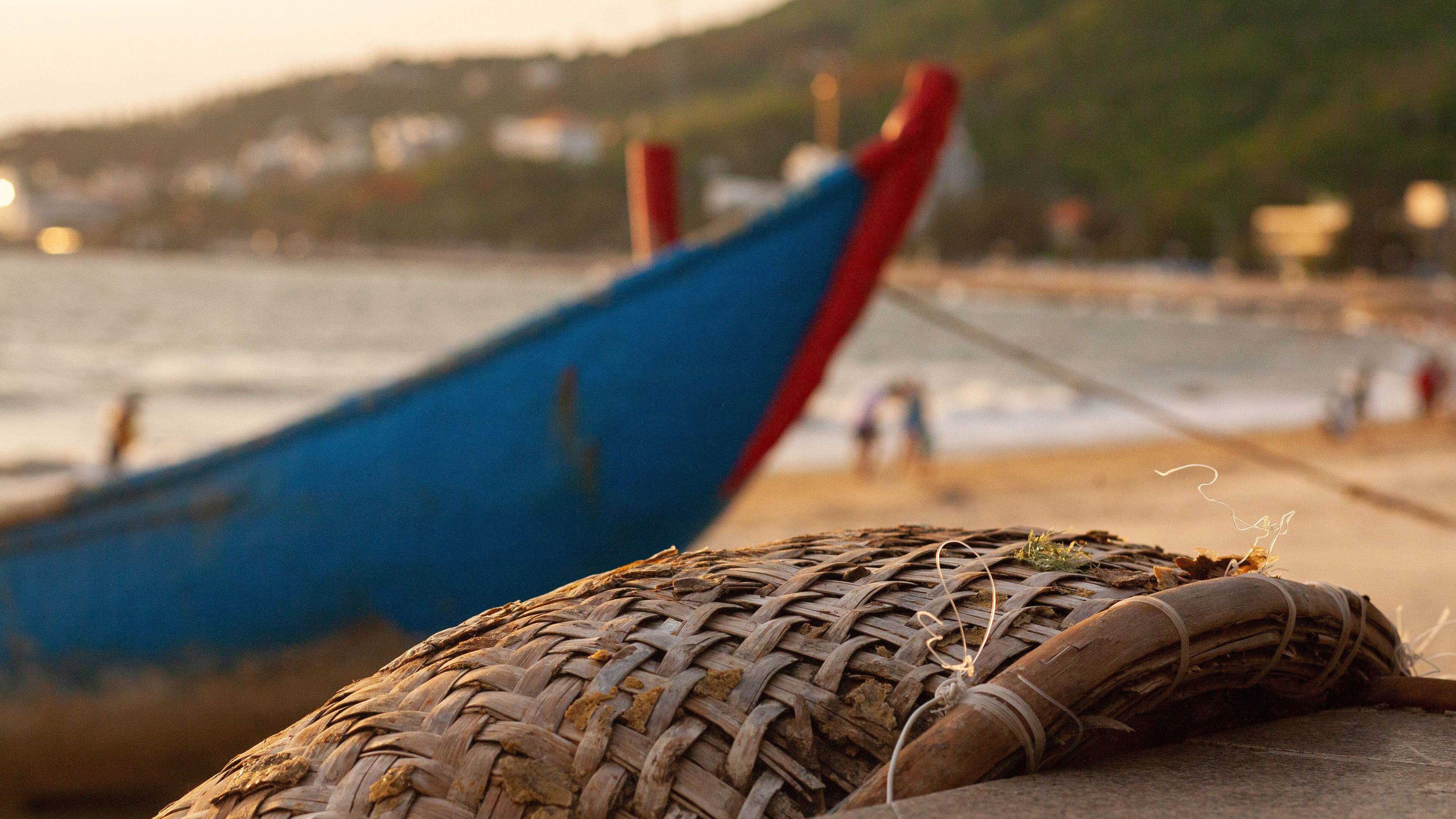 Vung Tau showing general coastal views and a beach