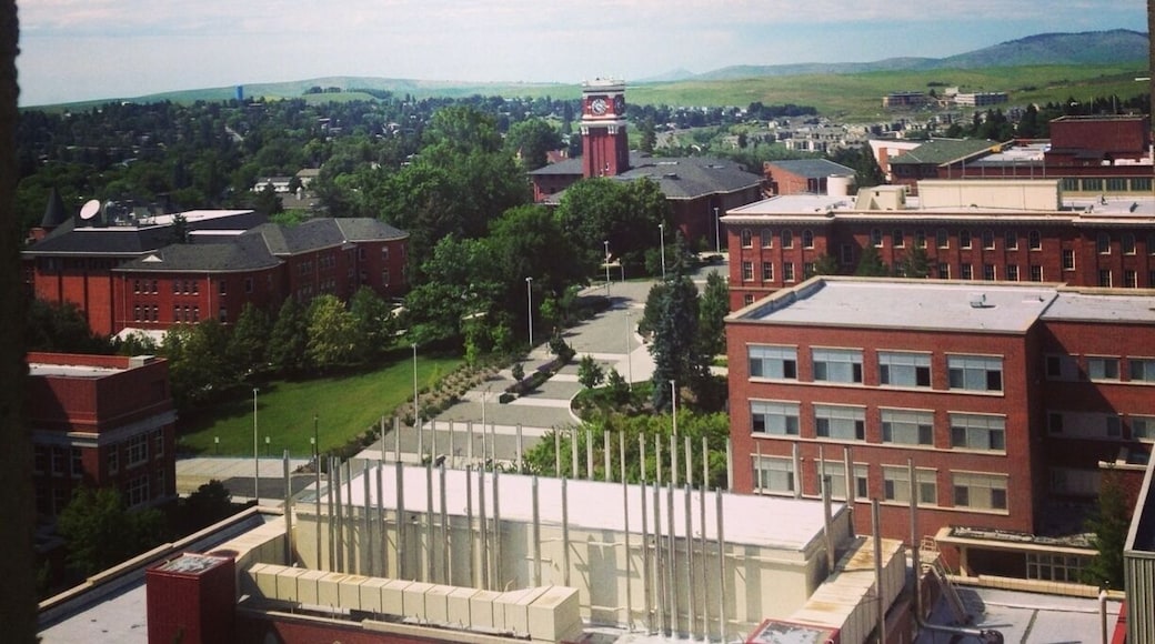 The view from the ~12th floor of Webster Hall is... pretty nice. Also, loved the little experiments next to the entrance of the building (indoors).