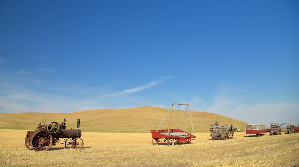 Pullman featuring outdoor art, heritage elements and tranquil scenes