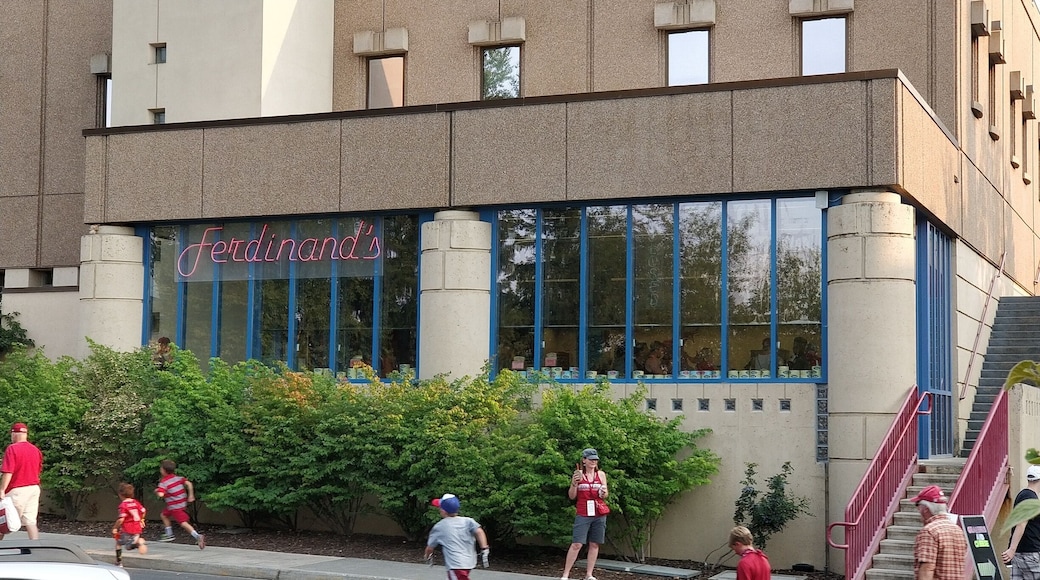 Great student made and run ice cream shop. But you have to get some Cougar gold cheese. Simply the best for crackers, mac n' cheese, salads you name it.