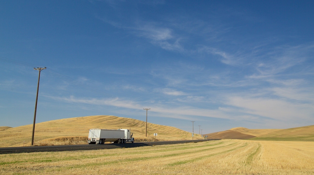 Pullman featuring tranquil scenes