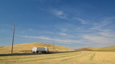 Pullman montrant scĂšnes tranquilles