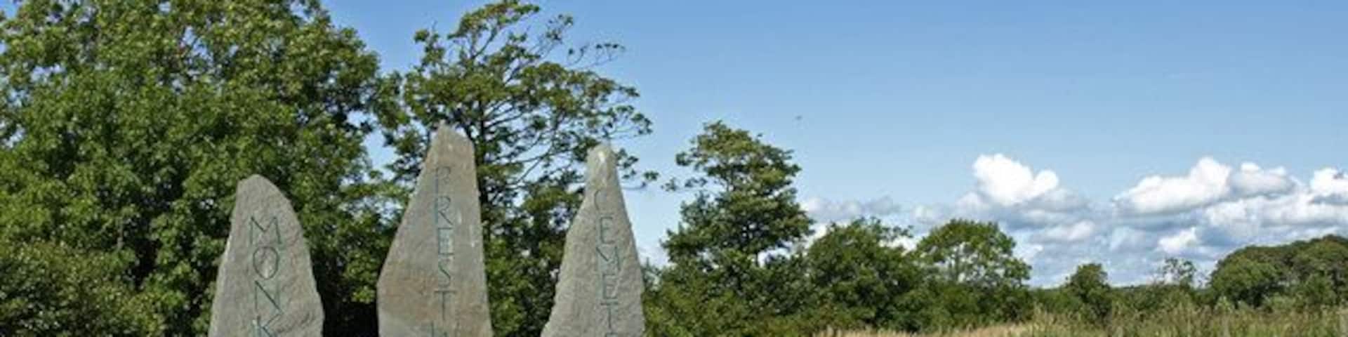 Three standing stones in a grassy field with trees in the background.