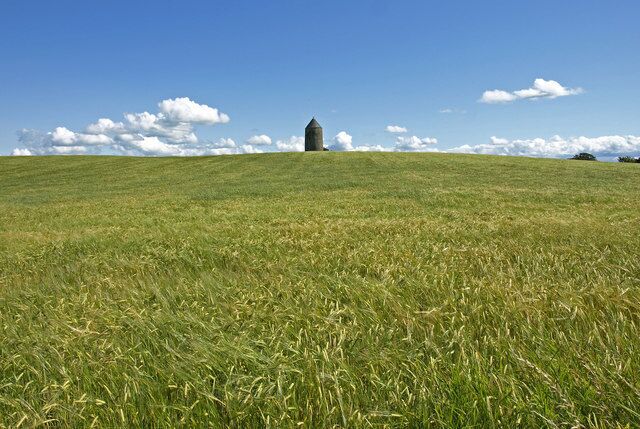 Monkton Windmill Preserved windmill at the top of barley field.