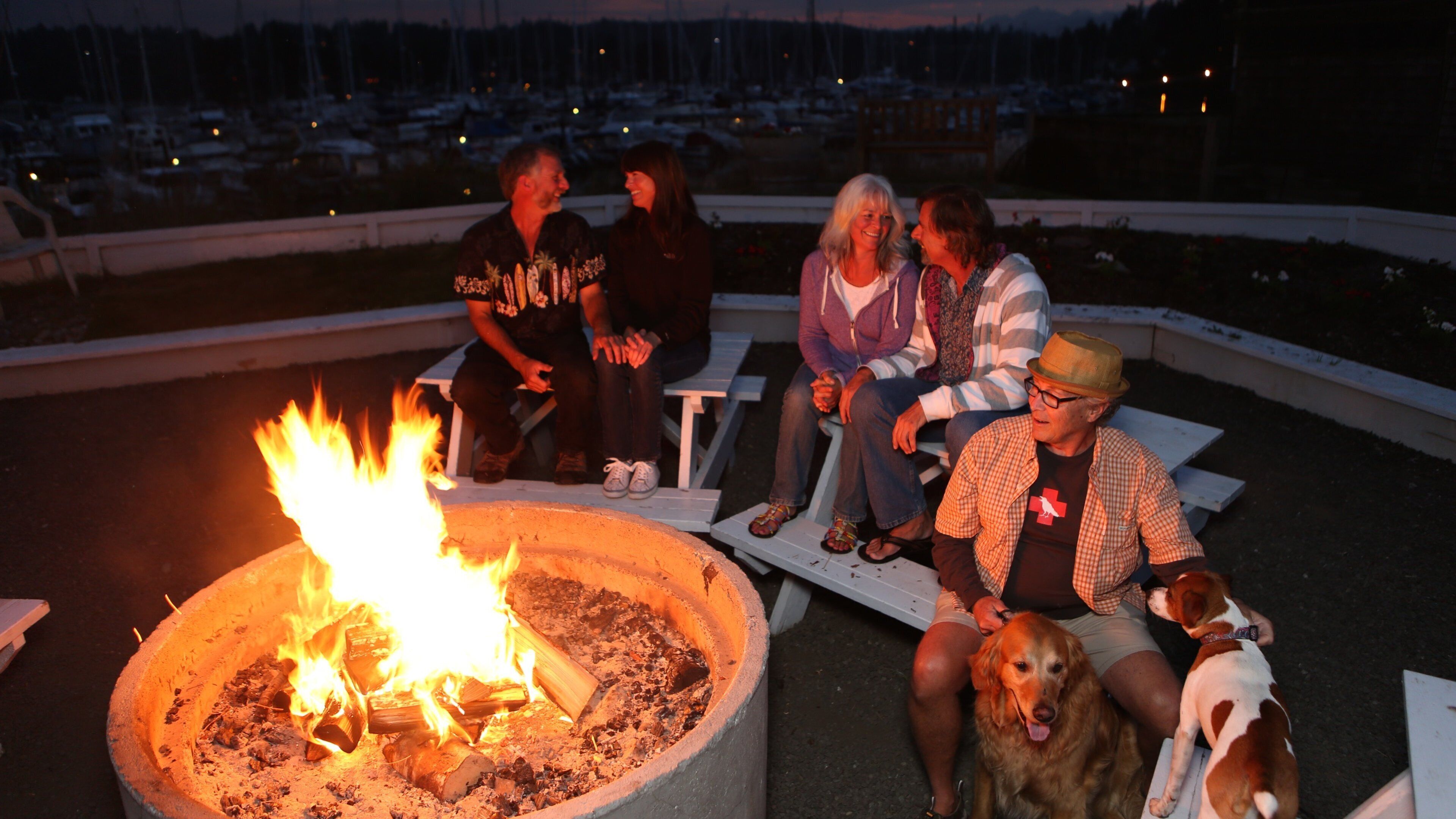Washington Coast featuring night scenes as well as a small group of people