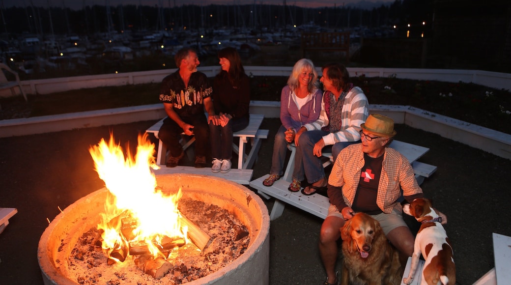 Washington Coast featuring night scenes as well as a small group of people