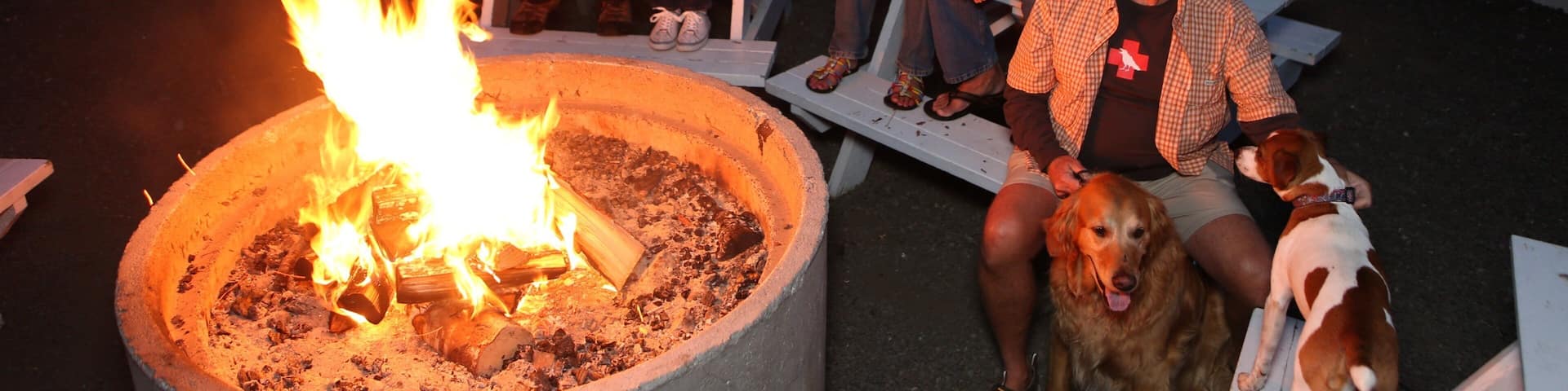 Washington Coast which includes night scenes as well as a small group of people