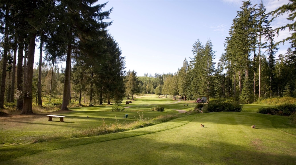 Washington mostrando golf