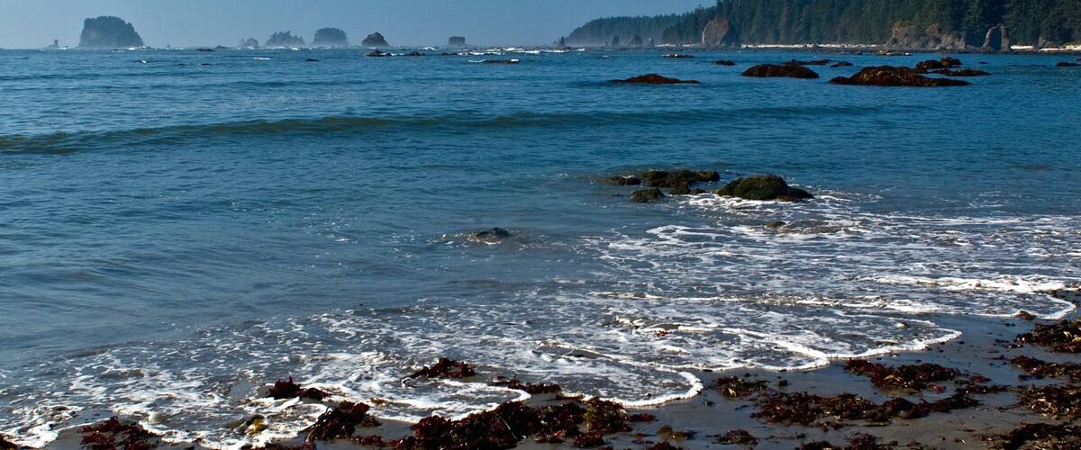 Côte de Washington qui includes vues littorales