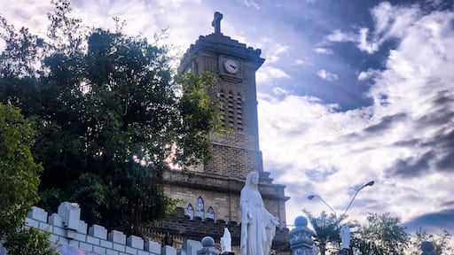 فوك تان