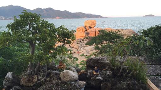 Trying my hand at some creative photography.
Nhs Trang beach front in background and miniature bonsai image in foreground