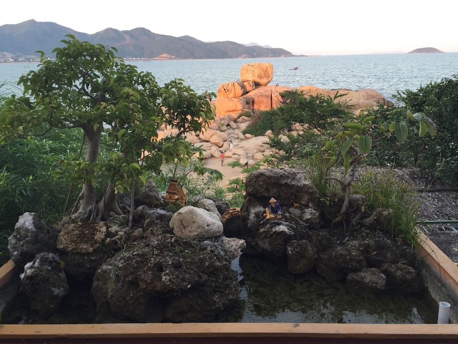 Trying my hand at some creative photography.
Nhs Trang beach front in background and miniature bonsai image in foreground