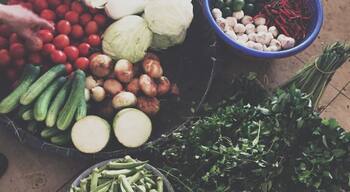 A variety of fresh vegetables and herbs spread out on the ground.