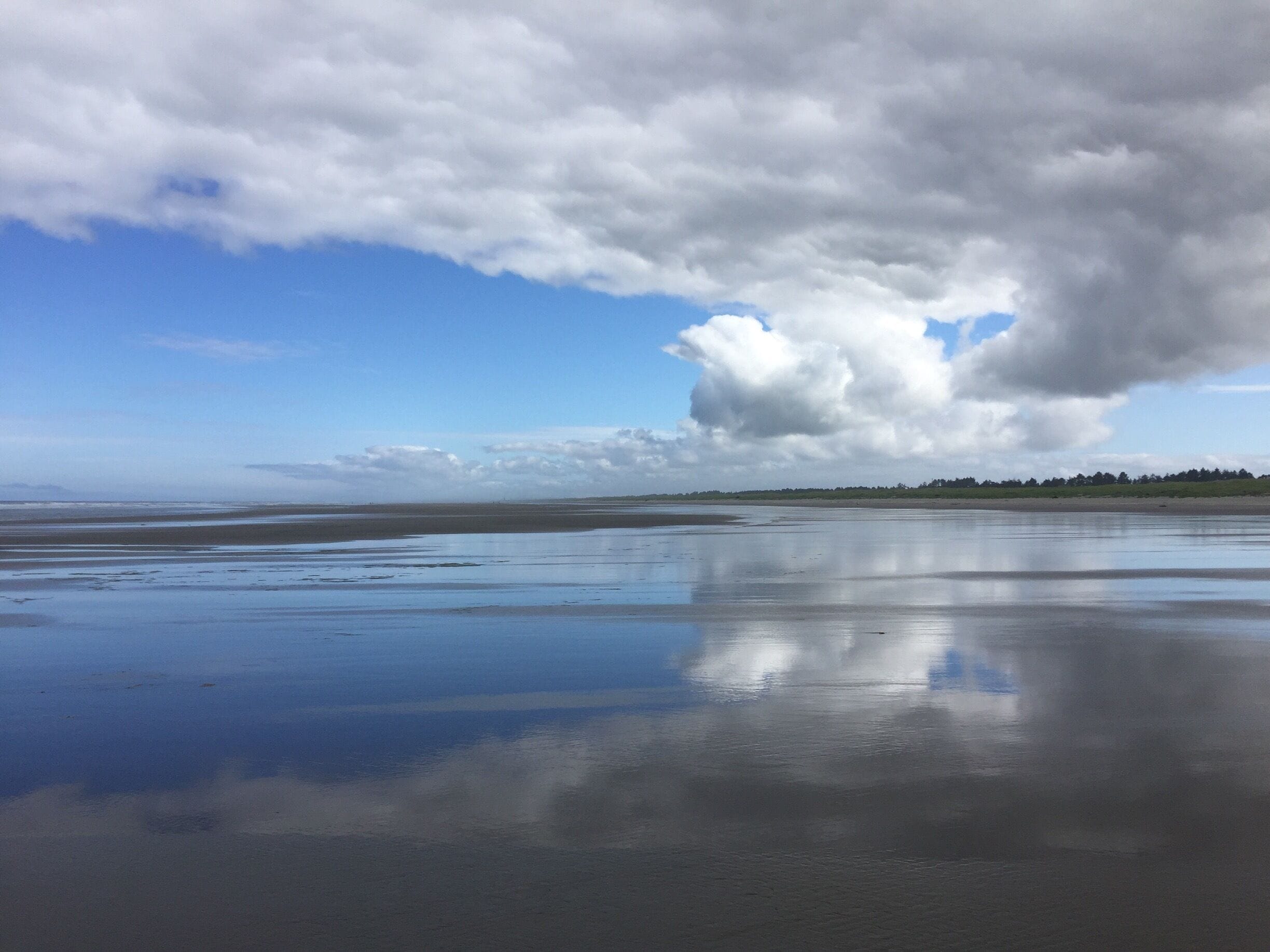 A coastal landscape with a wide beach, calm water, and a line of trees in the distance.