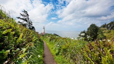 A coastal path leading to a lighthouse, surrounded by lush greenery and a clear blue sky.