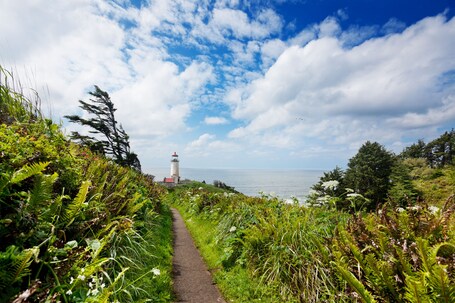 A coastal path leading to a lighthouse, surrounded by lush greenery and a clear blue sky.