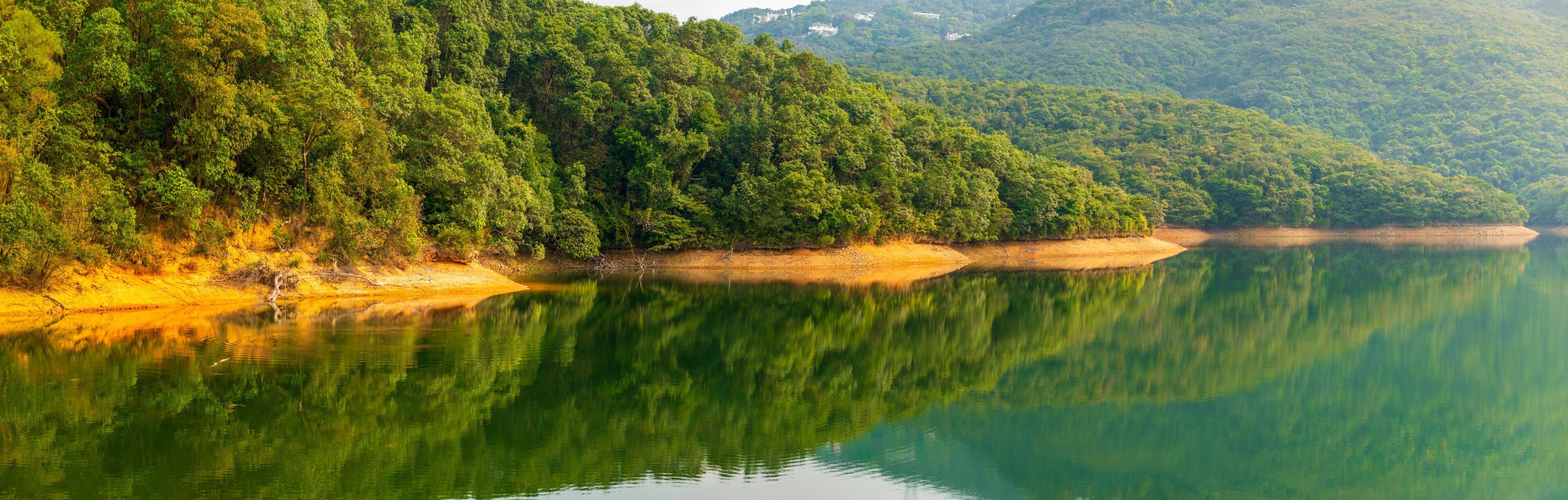 A calm lake surrounded by dense forest and hills.