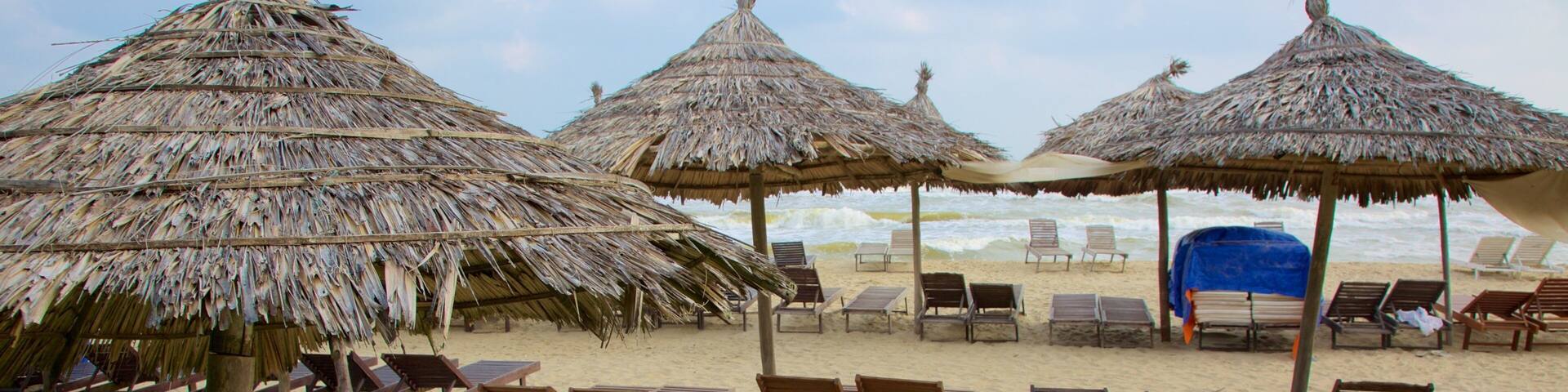 A beach with thatched umbrellas and wooden lounge chairs.