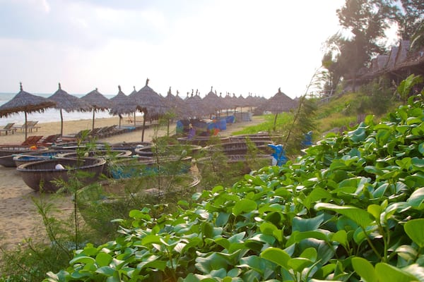 A beach with thatched umbrellas, wooden chairs, and boats.