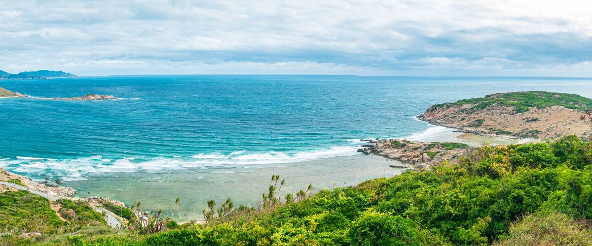 Secluded tropical coast line turquoise transparent water palm trees, undeveloped bay Quy Nhon Nha Trang, Vietnam central coast travel destination, no people clear blue sky, expansive view