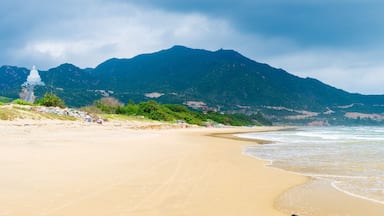 Secluded tropical beach turquoise transparent water palm trees, Bai Om undeveloped bay Quy Nhon Vietnam central coast travel destination, desert white sand beach