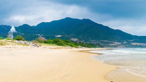 Quy Nhon