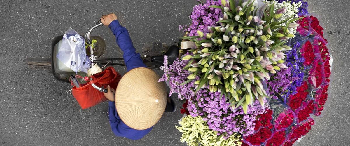 A flower lady in Hanoi #vietnam #asia #colorful