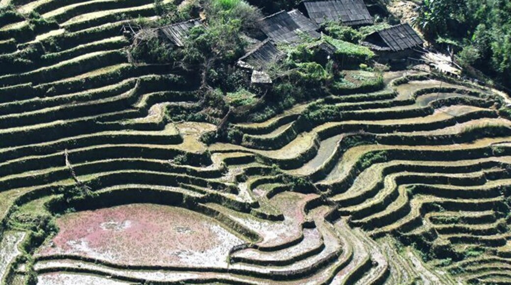 #city #asia #takeahike #architecture #picturesque #religion #vietnan #green #agriculture #vietnan #2012