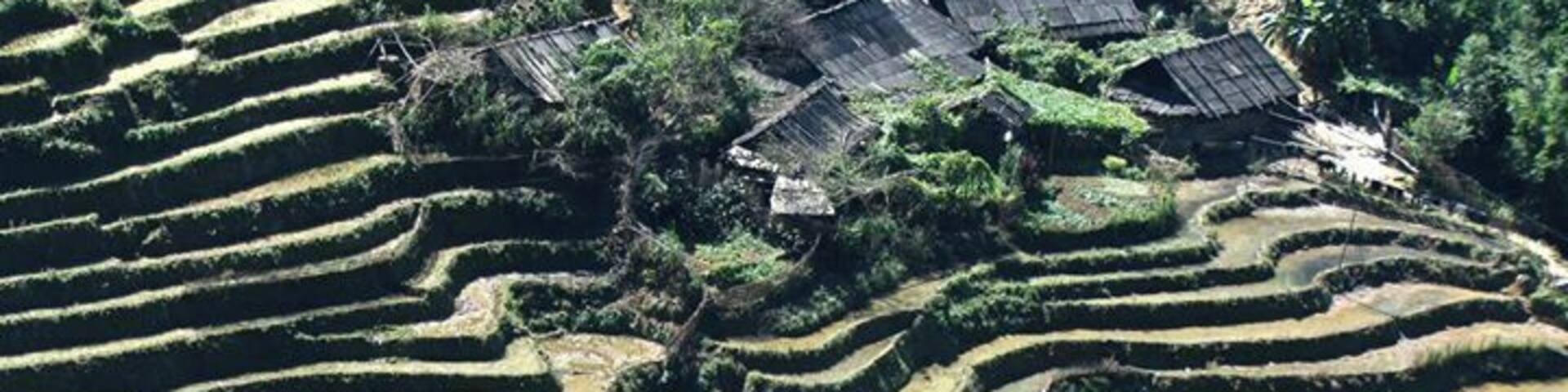 #city #asia #takeahike #architecture #picturesque #religion #vietnan #green #agriculture #vietnan #2012