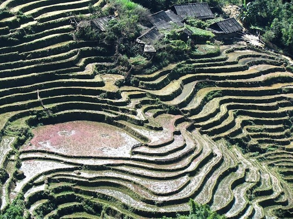 #city #asia #takeahike #architecture #picturesque #religion #vietnan #green #agriculture #vietnan #2012