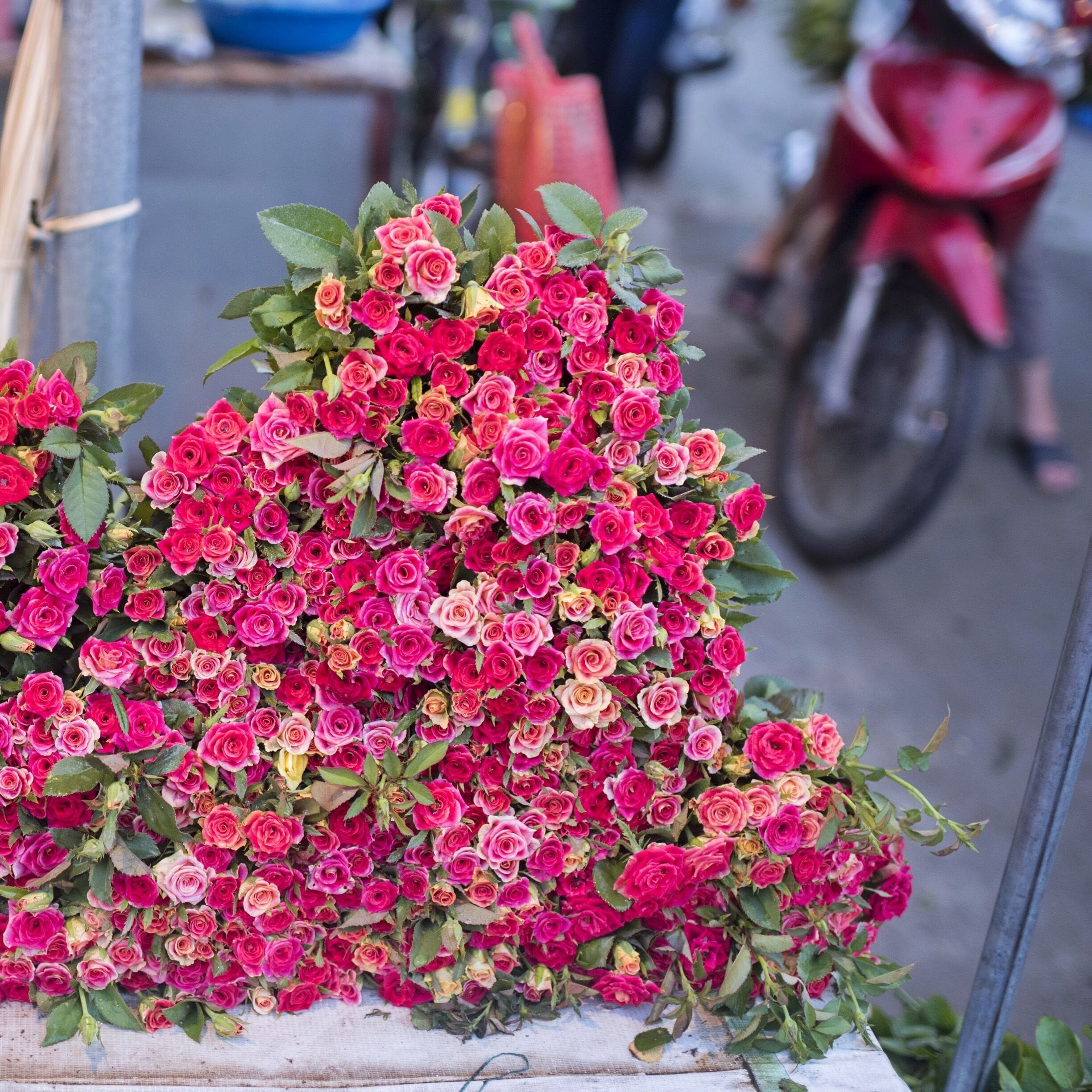 If you're ever in Hanoi I really recommend using Insider Journeys to do a dawn bike ride to the Hanoi Flower Market. Super colorful and interesting plus it's fun to be out on a bike before the roads get too manic. We also rode past the lake to watch the locals doing their morning aerobics. 