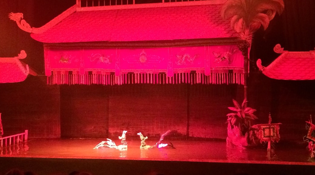 The lotus water puppet show consist of mesmerizing traditional music and the very talented art moving eye catching puppets flawlessly to tell folk myths and everyday life in Vietnam.