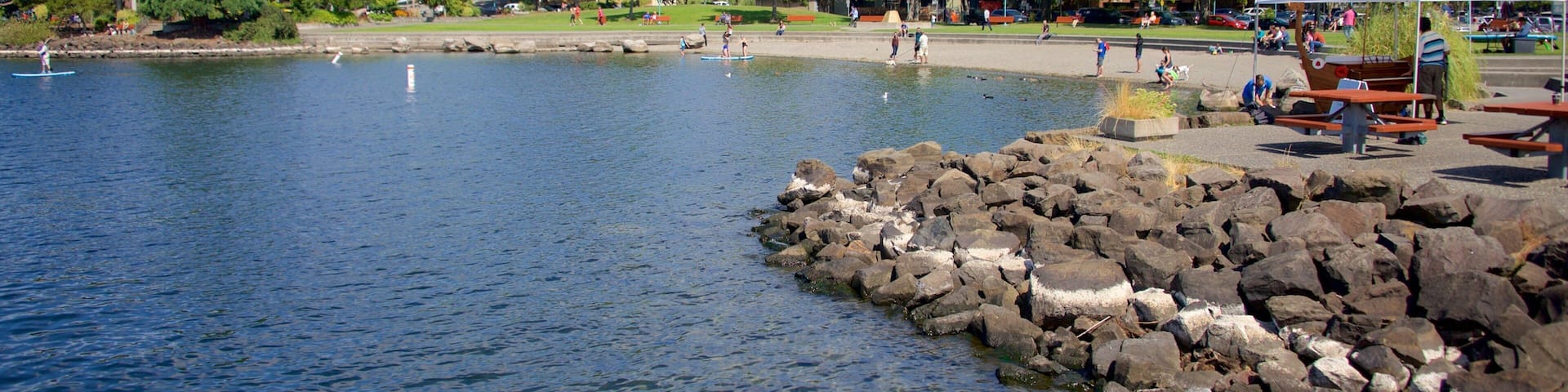 Puget Sound som inkluderar kustutsikter och klippig kustlinje