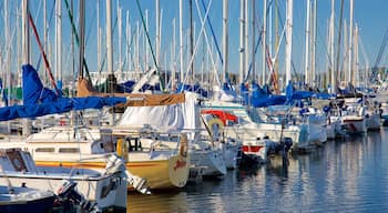 Everett which includes a bay or harbour and a marina